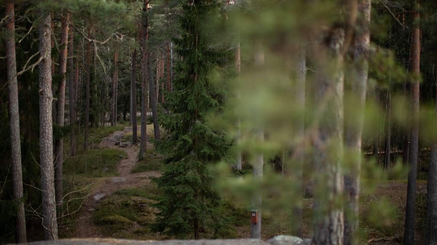 Lukijan mielipide | Hyvin suunniteltu tiivistyminen ei ole uhka Helsingin hiilinieluille