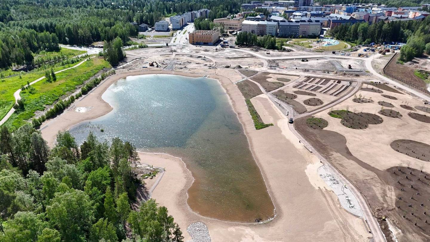 Uiminen | Helsingissä avataan uusi uimaranta, vaikka erittäin uhan­alainen lintupari pesii siellä edelleen