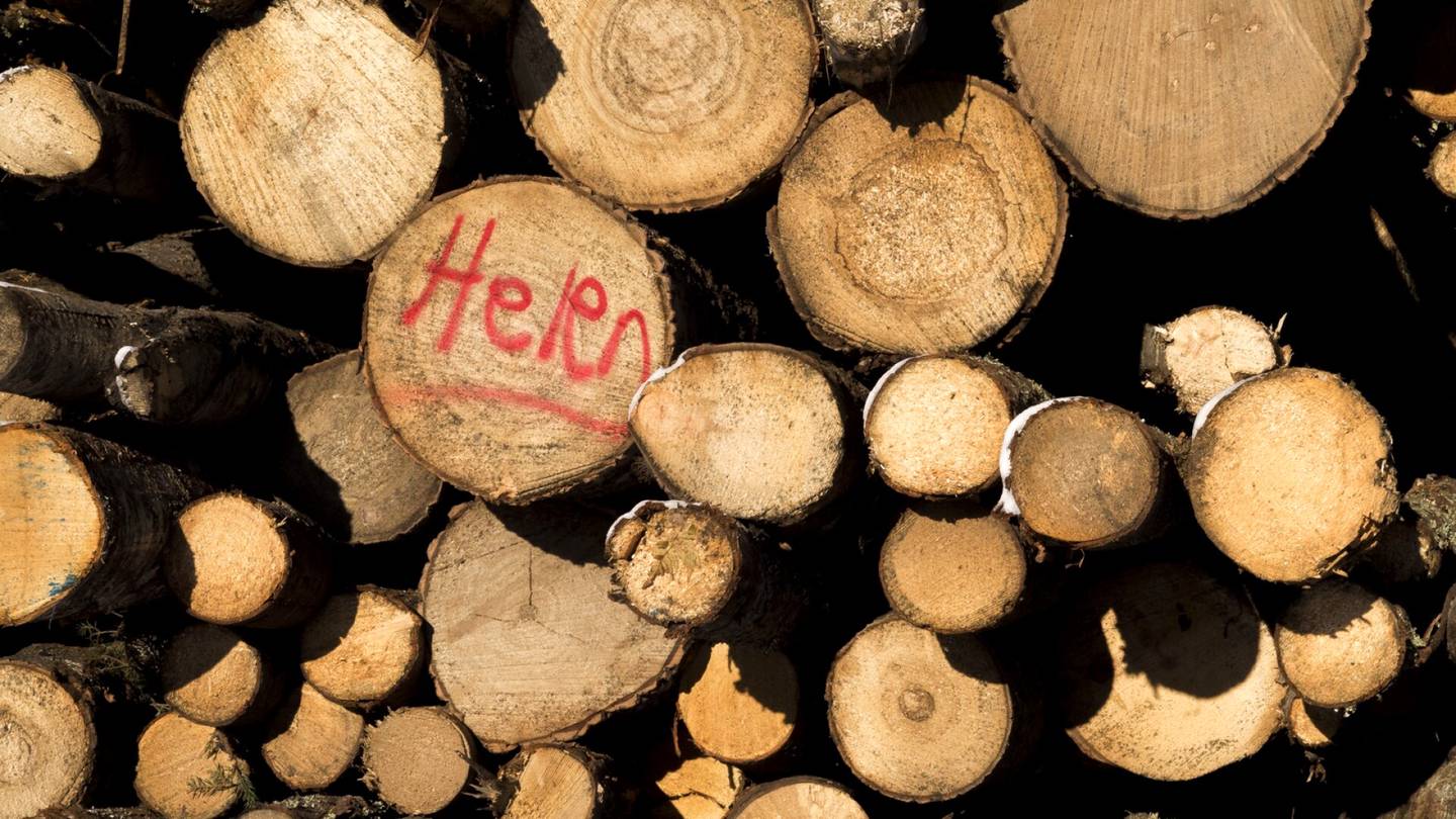 Lämmitys | Metsälehti: Suomi polttaa lämmöksi hurjat määrät tuotteiksi kelpaavaa puuta