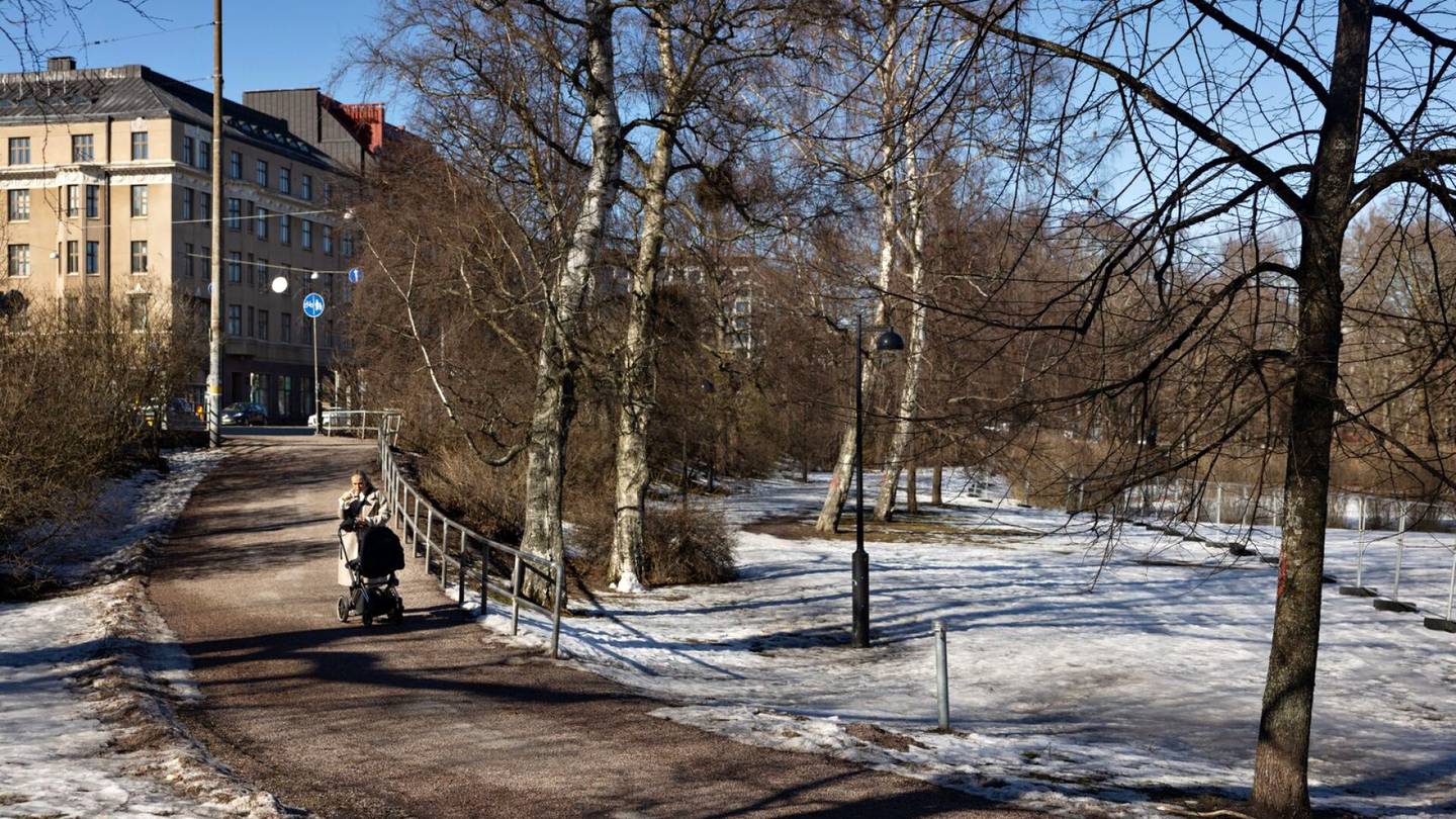 Katutyöt | Helsingin jättiremontin riita syntyi 14 puusta