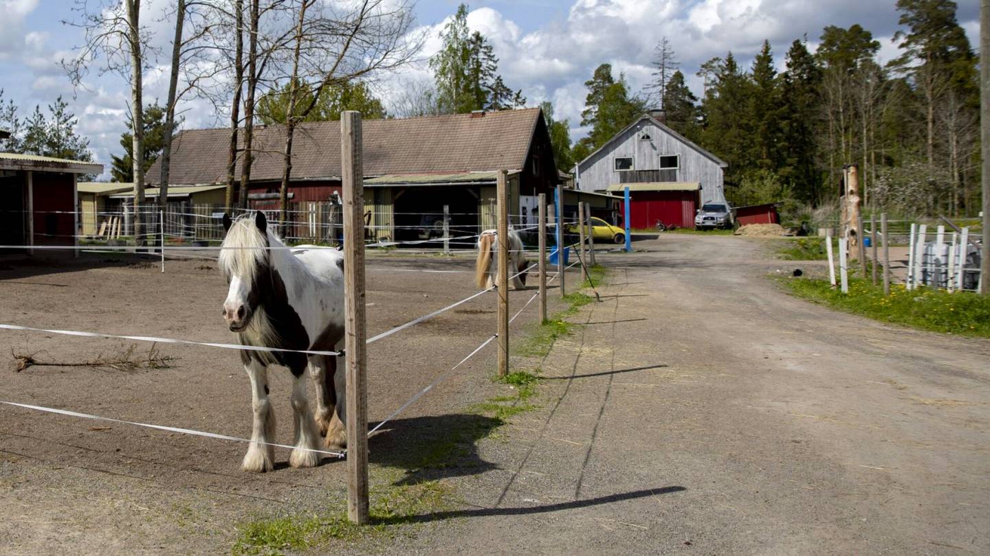 HS Turku | Naantalissa hevostallia pyörittänyttä pariskuntaa syytetään törkeästä lapsen seksuaalisesta hyväksikäytöstä