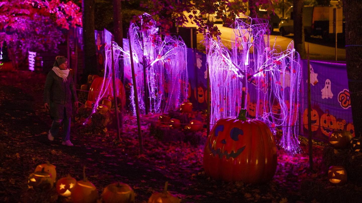 Tapahtumat | Puotilan kartanon halloween-puisto on ollut kävijämäärien valossa menestys