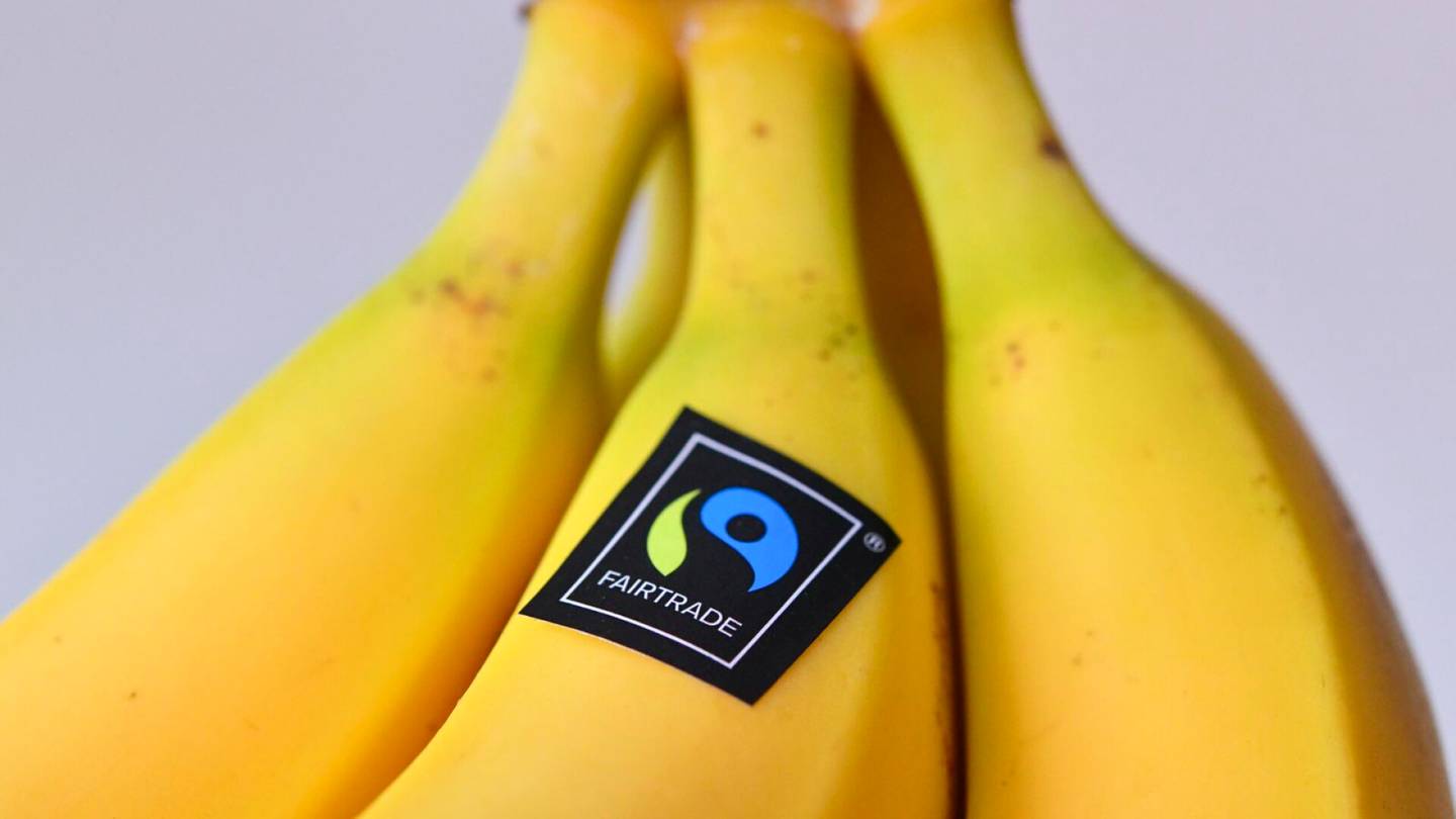 Elintarvikkeet | Reilun kaupan banaanit katosivat S-ryhmän kaupoista – tästä on kyse