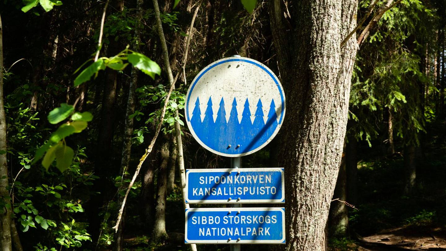 Kansallispuistot | Sipoonkorvesta löytyi taas kymmeniä laittomia nuotio­paikkoja