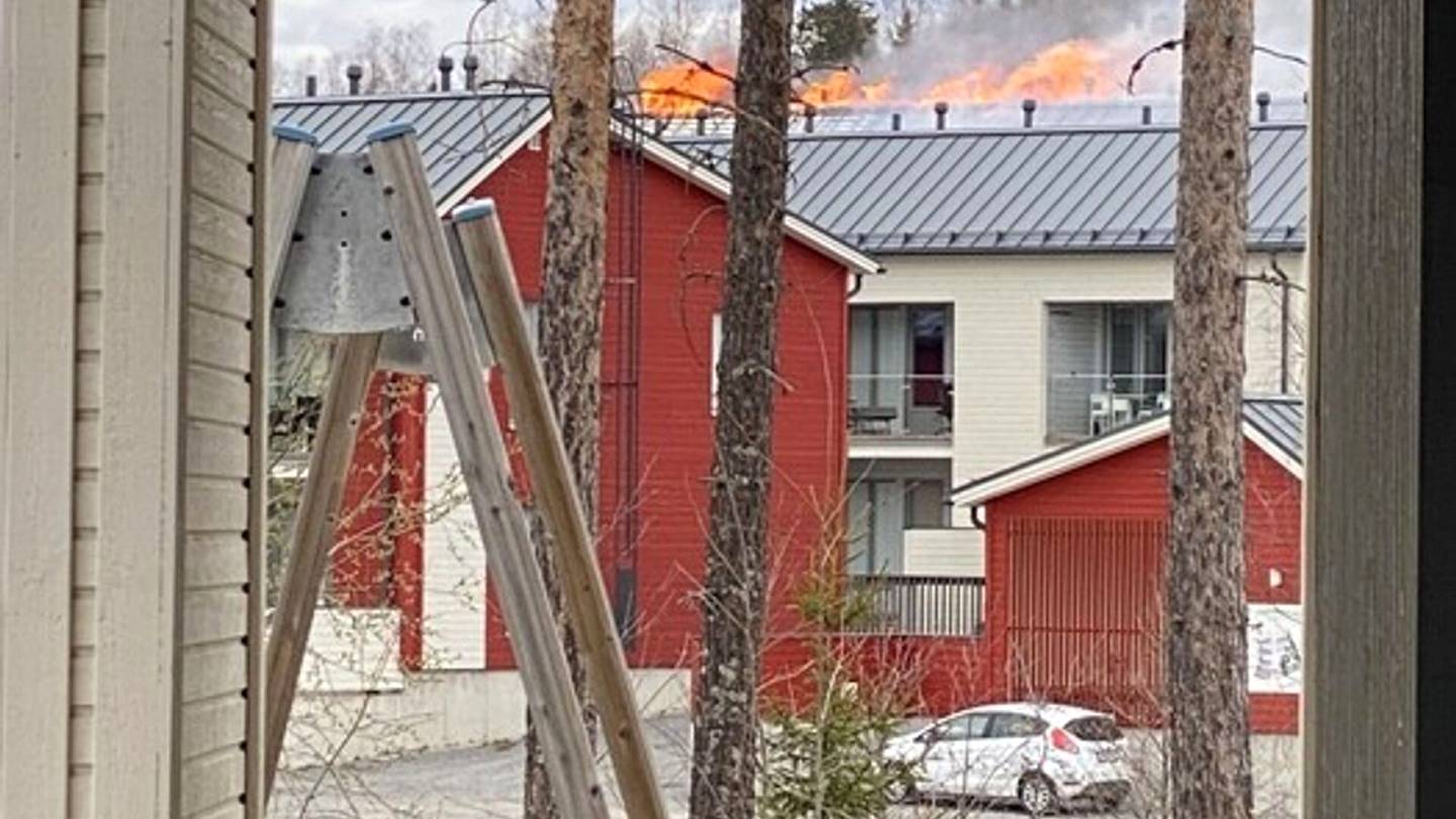 Tulipalot | Video: Luhtitalo liekeissä Tampereen Vuoreksessa – alueella liikkumista kehotetaan välttämään