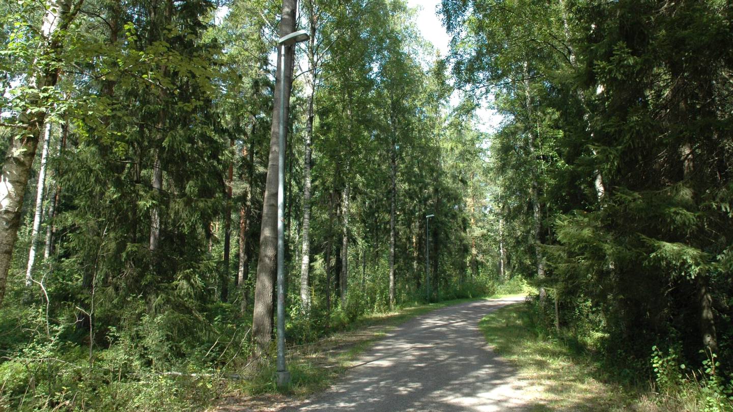 Kaupunkimetsät | Helsinki aikoo jättää kaatuneita puita jatkossa metsiin