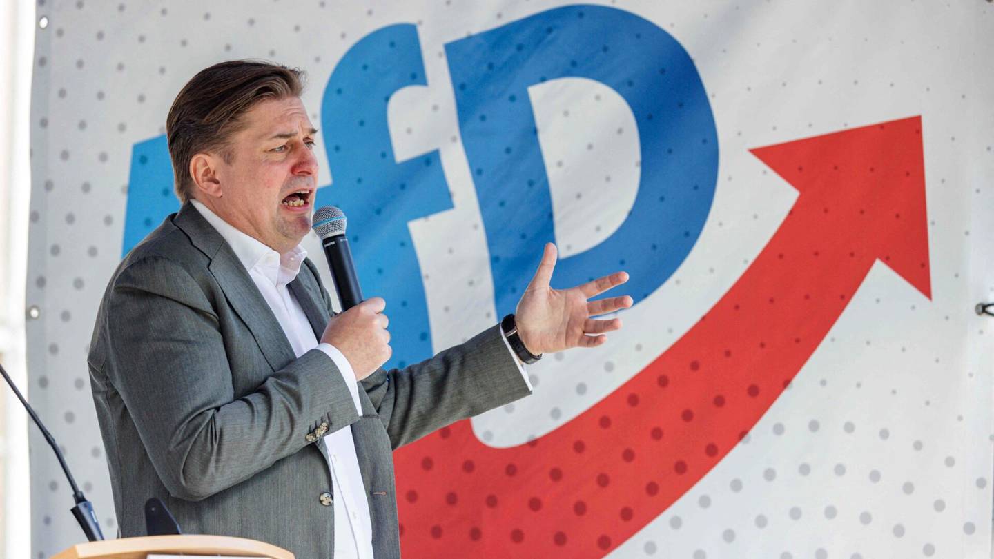 Eurovaalit | Saksan AfD erotettiin omasta euro­parlamentti­ryhmästään