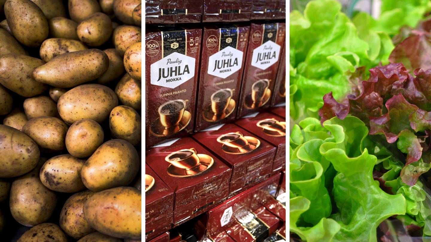 Inflaatio | Ruoan hinnannousu hidastuu – nämä elintarvikkeet ovat jo halvempia kuin viime vuonna