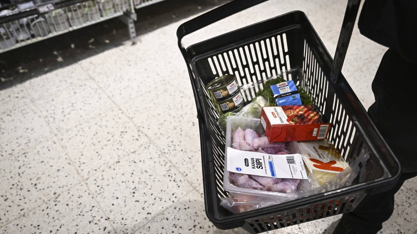 Suhdanne | Ruoka ja asuminen halpenivat maaliskuussa – Suomen EU-säännöin laskettu inflaatio hidastui