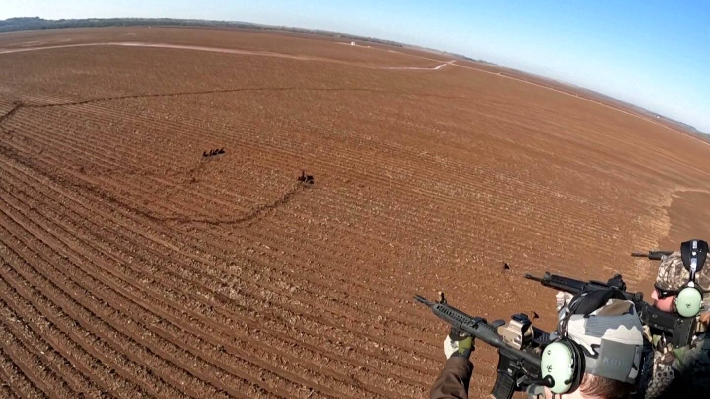 Video | Villiintyneitä sikoja ammutaan rynnäkkö­­kiväärillä helikopterista Texasissa