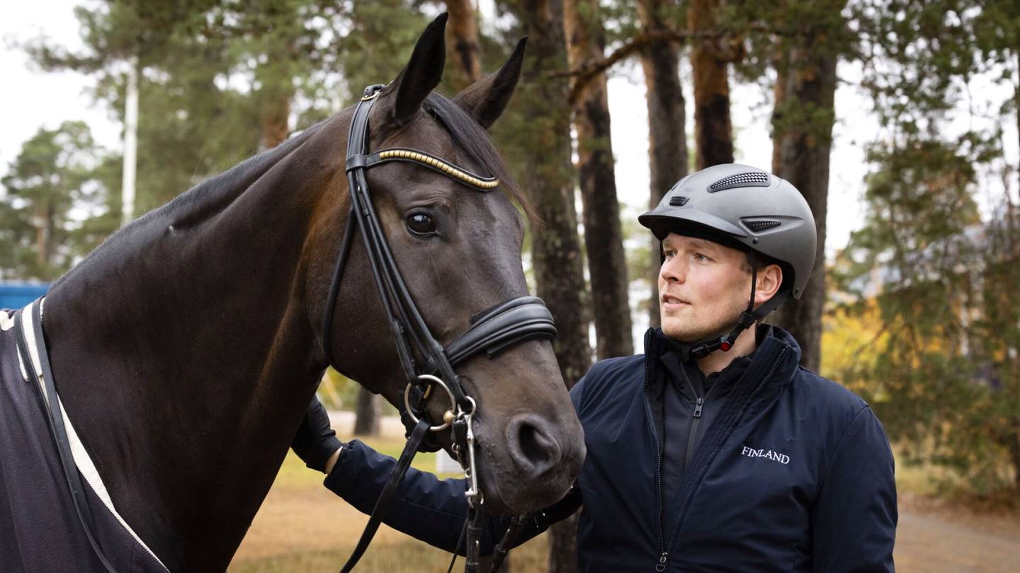 Ratsastus | Henri Ruoste löytää hevosia, joista hän kouluttaa miljoonaluokan ratsuja