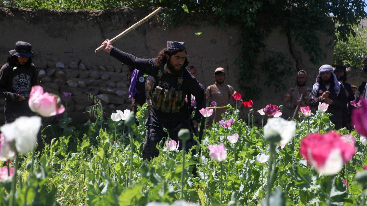 Afganistan | Oopiumi­unikon viljelijöitä on kuollut yhteen­otoissa Talebanin kanssa