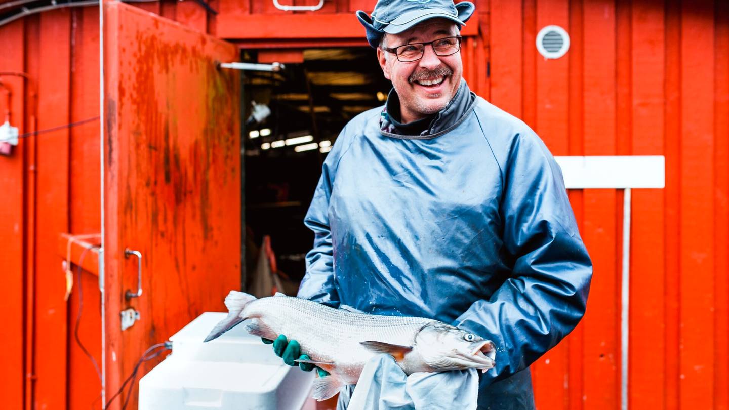 Kalat | Venäjältä tuotiin kala, jonka piti olla Suomelle kultakaivos – Koko populaatio tapetaan tänään