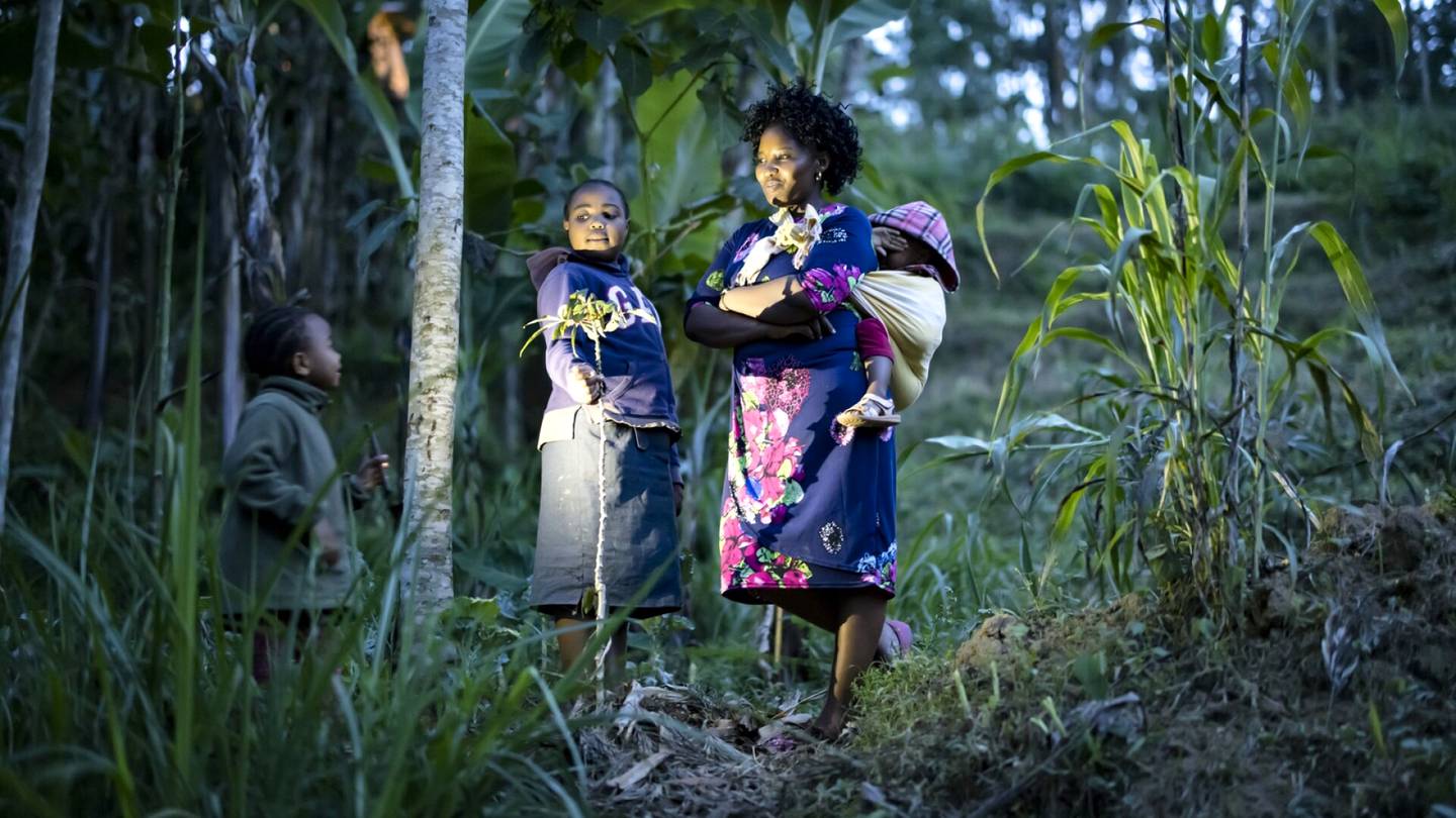 HS ympäristö | Pelot ”räjähtävästä” väestön­kasvusta ovat liioiteltuja, sanoo tutkija – HS selvitti Keniassa, miksi syntyvyys laskee nyt lähes kaikkialla