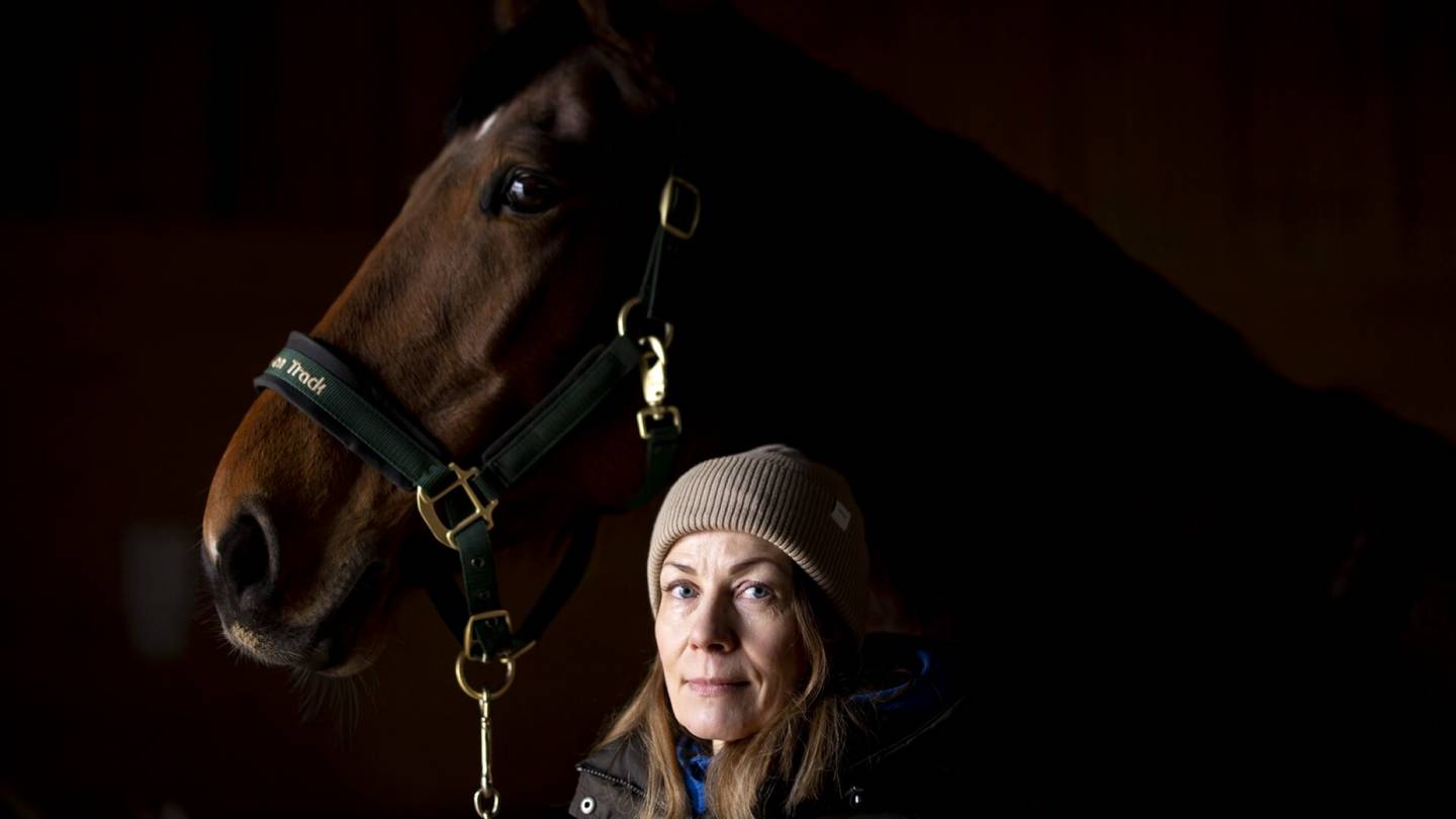 Ratsastus | Katja Himasen unelmahevonen olikin 12 000 euron painajainen: Hevosten hinnat nousivat ja kasvanut kysyntä lisäsi hevoskaupan riitoja.