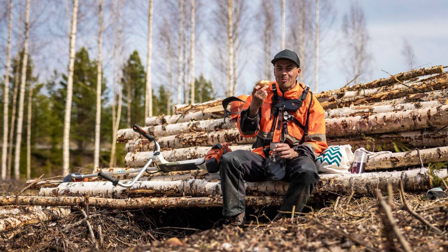 Metsät | Perttu Hyvärinen otti lainaa ja osti metsää – nyt hän kertoo, miten omien esi-isien jäljet näkyvät siellä edelleen