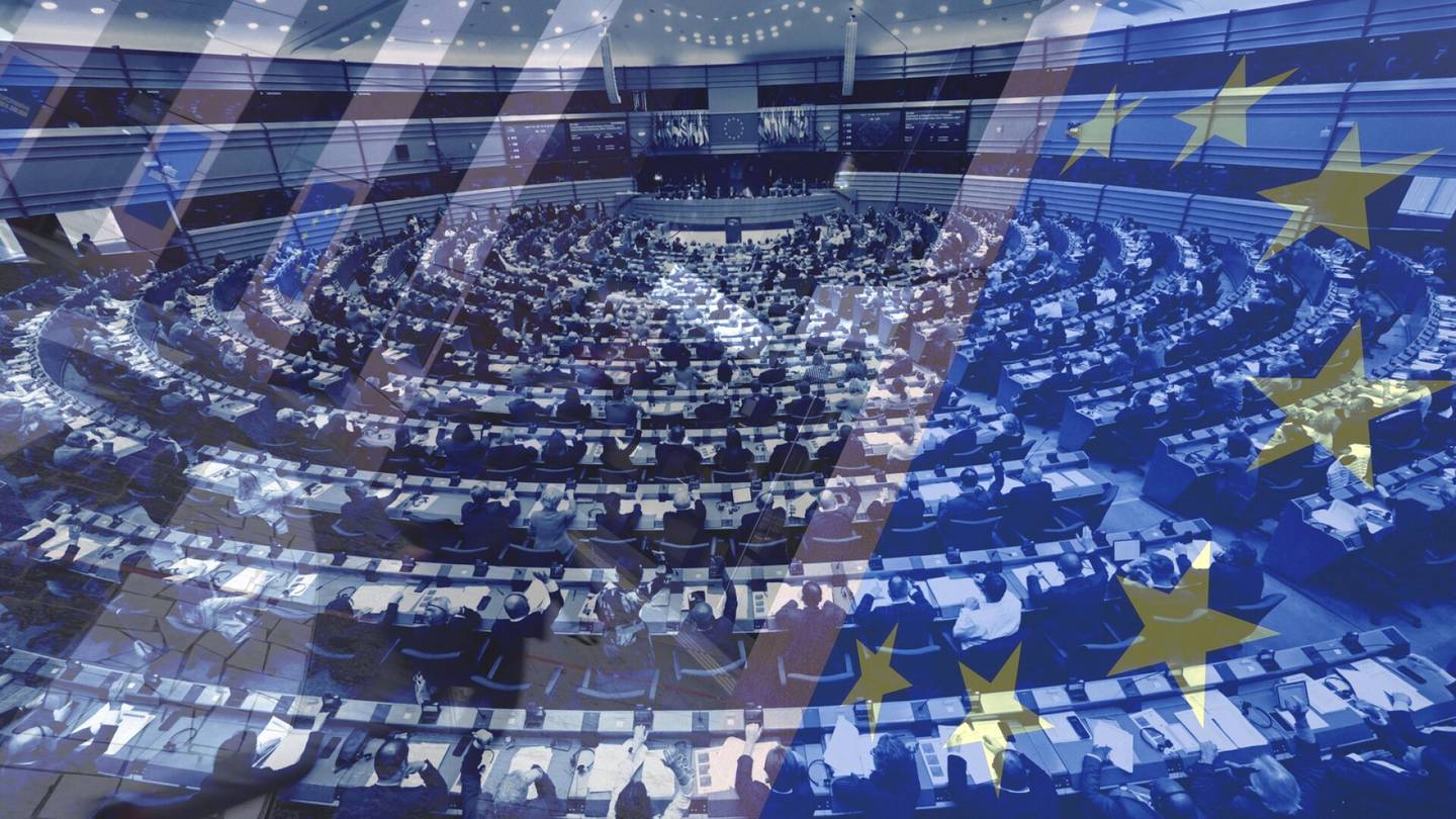 Eurovaalit | Äänestäjä, tunnetko EU-parlamentin poliittiset ryhmät? Kannattaisi, ajattelee professori