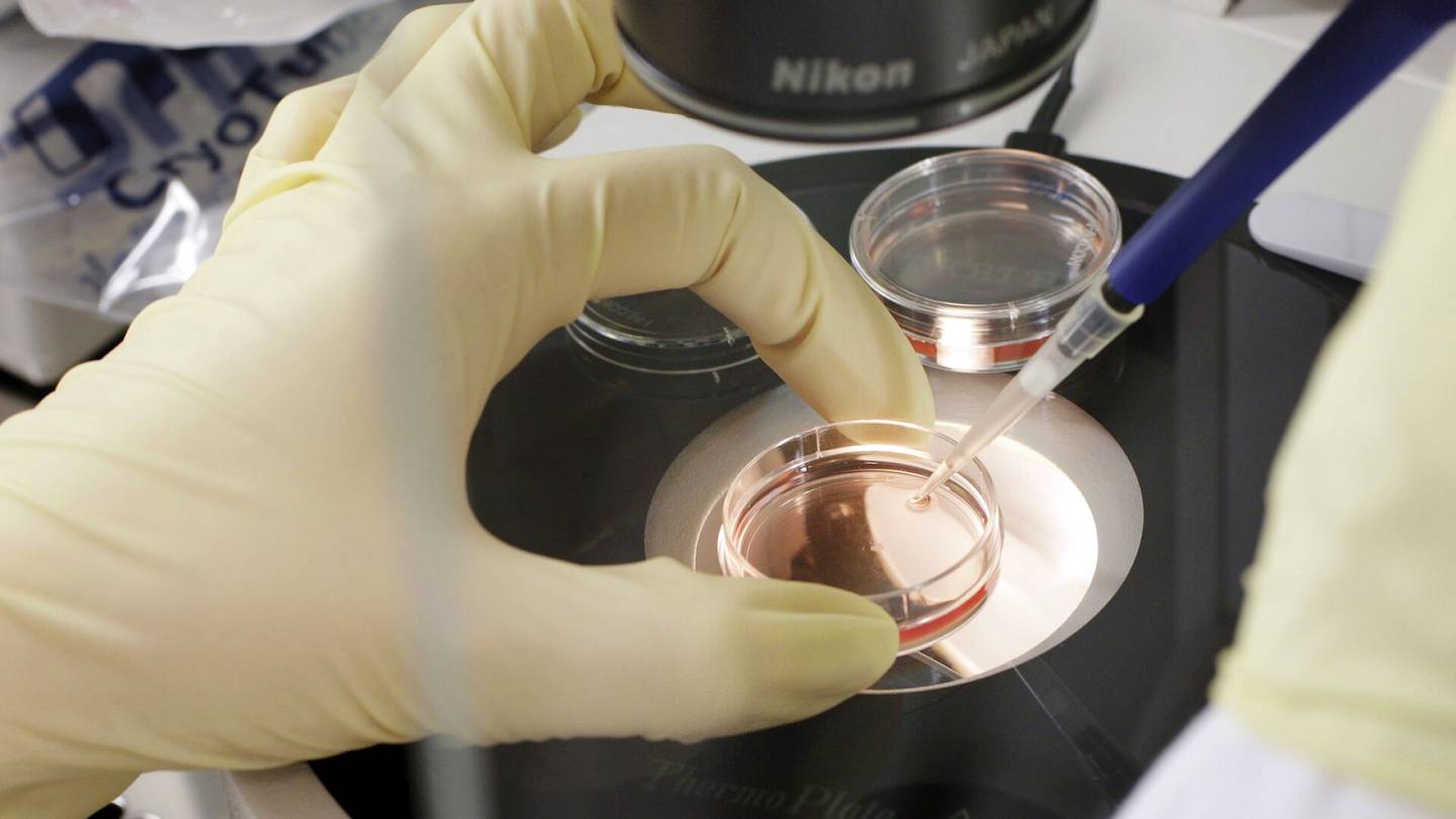 Lääketiede | Tähän soluun ei tule syöpää – suomalainen keksintö voi edistää kantasoluhoitoja