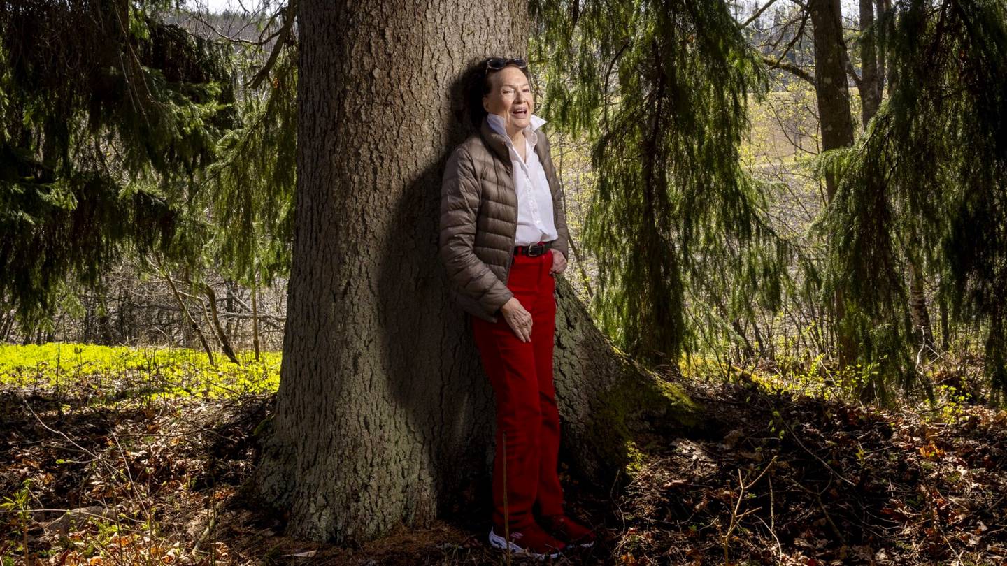 Luonnonsuojelu | 90-vuotias Eva Reenpää hankki valtavan määrän metsää, johon ”kukaan ei koskisi” – ”On toimittava nyt”