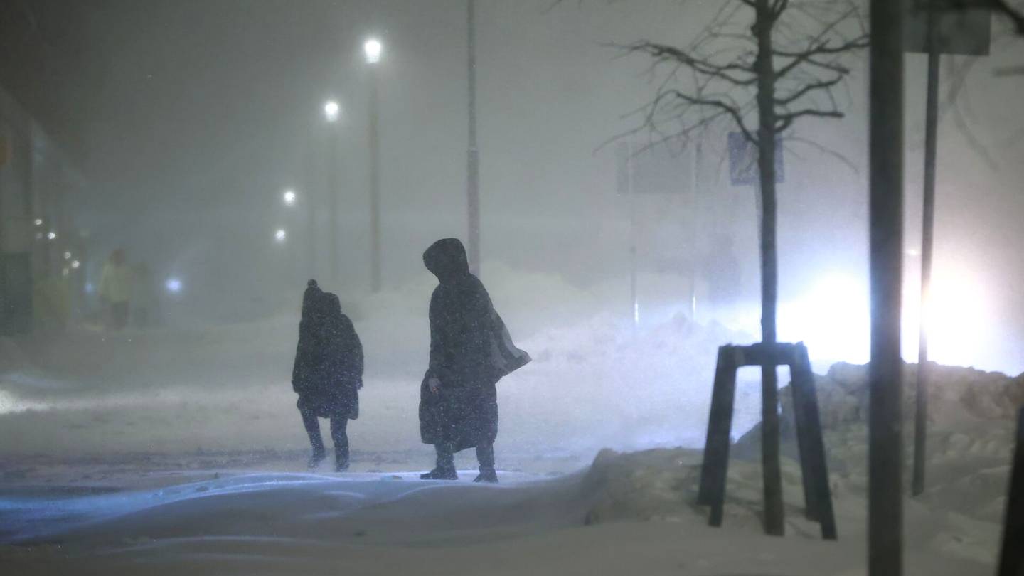 Lumimyrsky | Etelä-Suomessa on lunta jo poikkeuksellisen paljon – rajuin myräkkä väistyy, mutta lumisateet jatkuvat