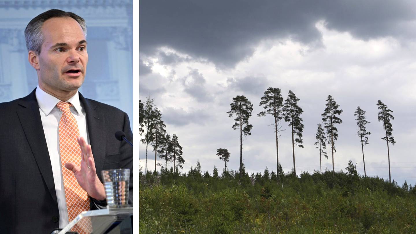 Ilmasto | Ministeri Mykkänen myöntää, että ilmasto­tavoitteen saavuttaminen vaatisi hakkuiden vähentämistä