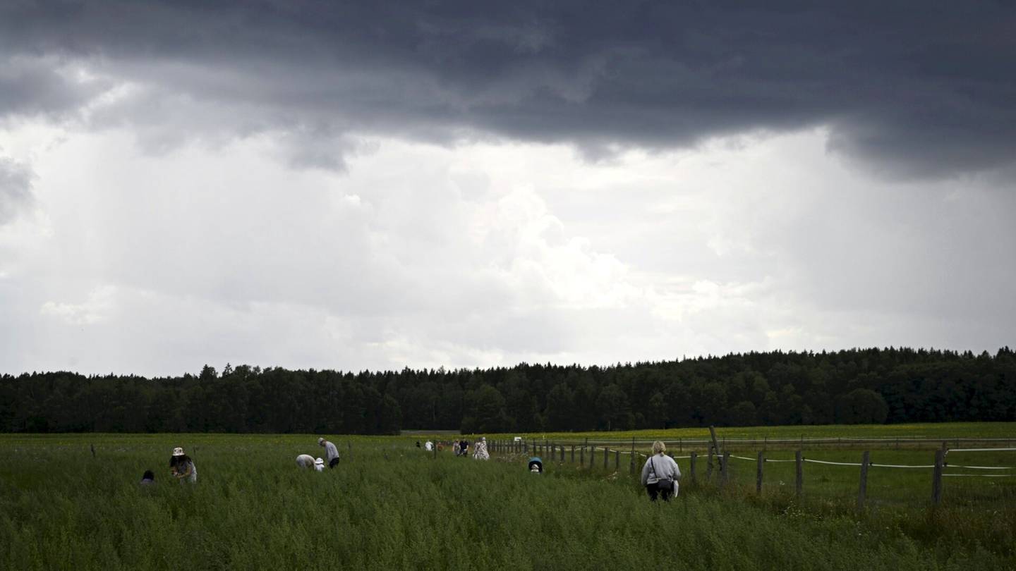 Sää | Lähi­päivinä voi olla luvassa jopa rakeita