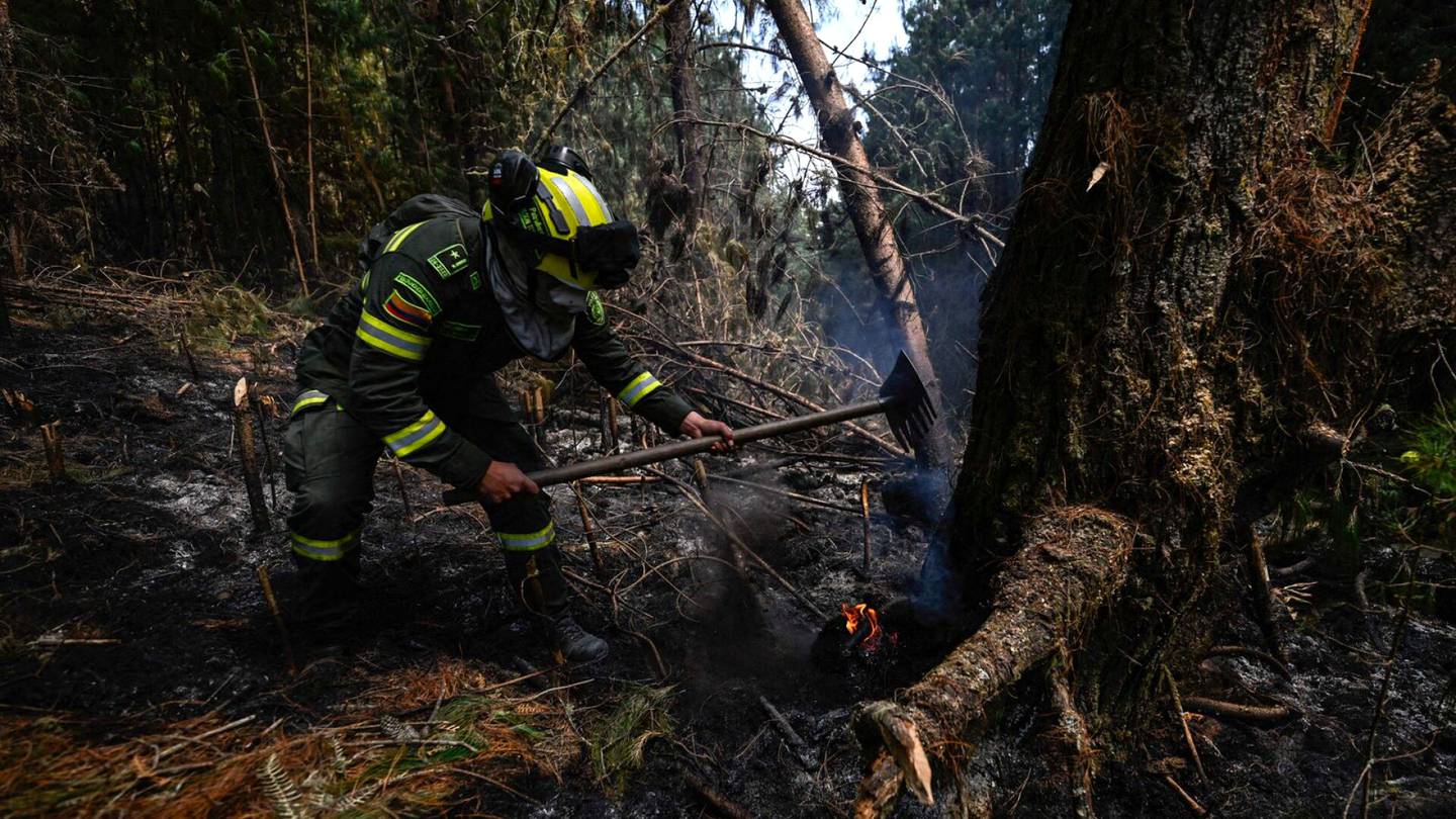 Video | Palot ovat tuhonneet yli 17 000 hehtaaria maastoa Kolumbiassa