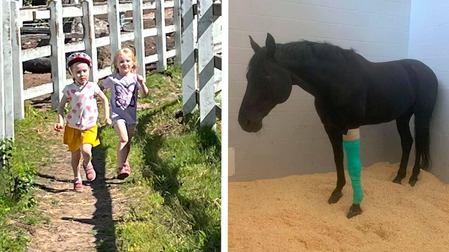 Eläimet | ”Etsintäkuulutus” tuotti tulosta: Sasu-hevosen pelastaneet 6-vuotiaat tytöt löytyivät