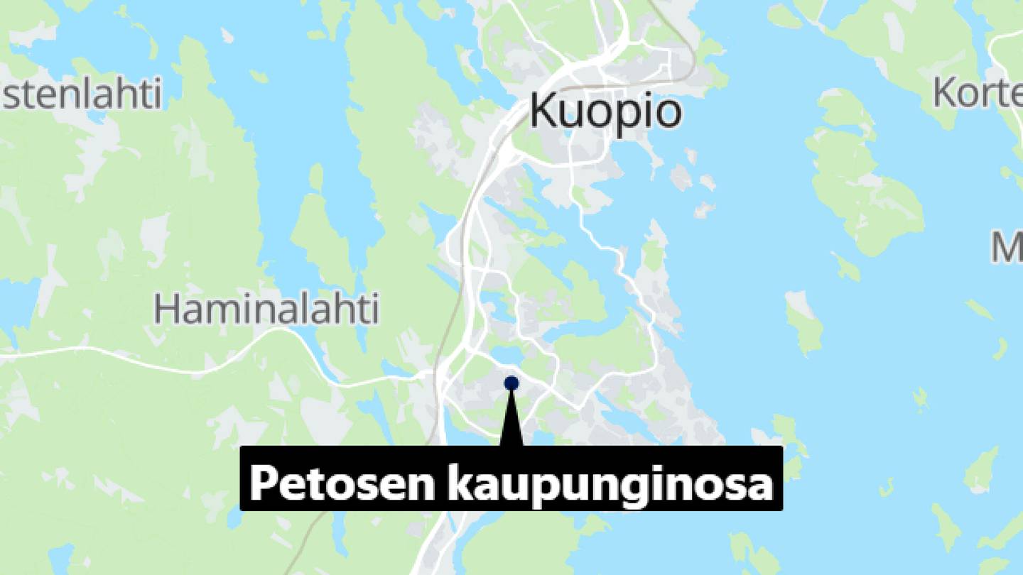 Kuopio | Poliisi: Uusi havainto karhusta Kuopiossa