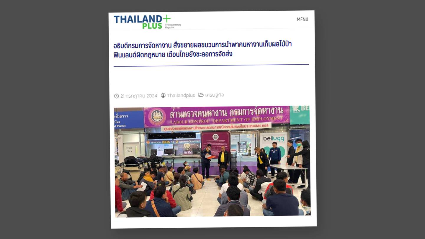 Marjanpoimijat | Thaimaa pysäytti joukon marjan­­poimijoita lento­kentällä – Maa pelkää, että Suomessa poljetaan poimijan oikeuksia