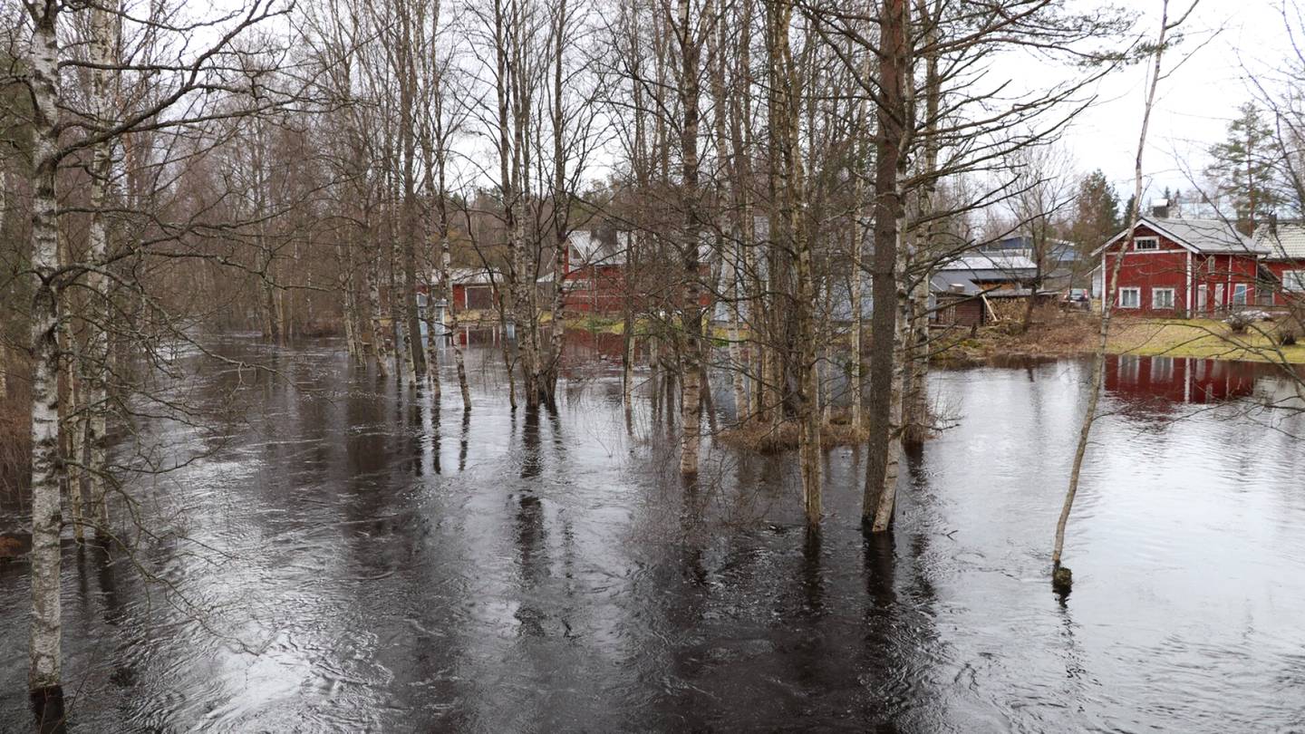 Tulvat | Järvi-Suomen järvien pinnat nousevat harvinaisen korkealle, Pohjois-Pohjanmaan joet tulvakorkeuksiin