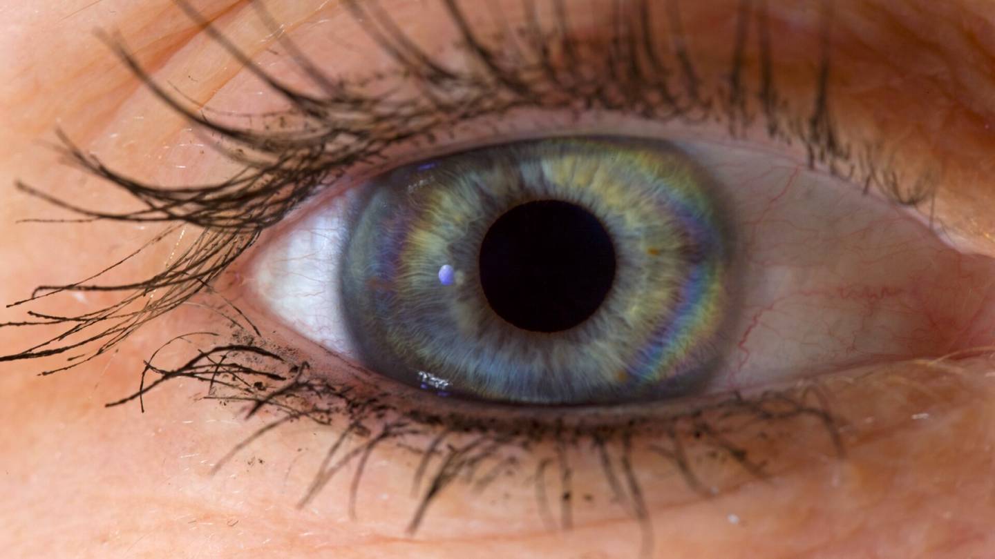 Aistit | Tutkimus: Silmiemme pupillin koko muuttuu hengityksen tahdissa