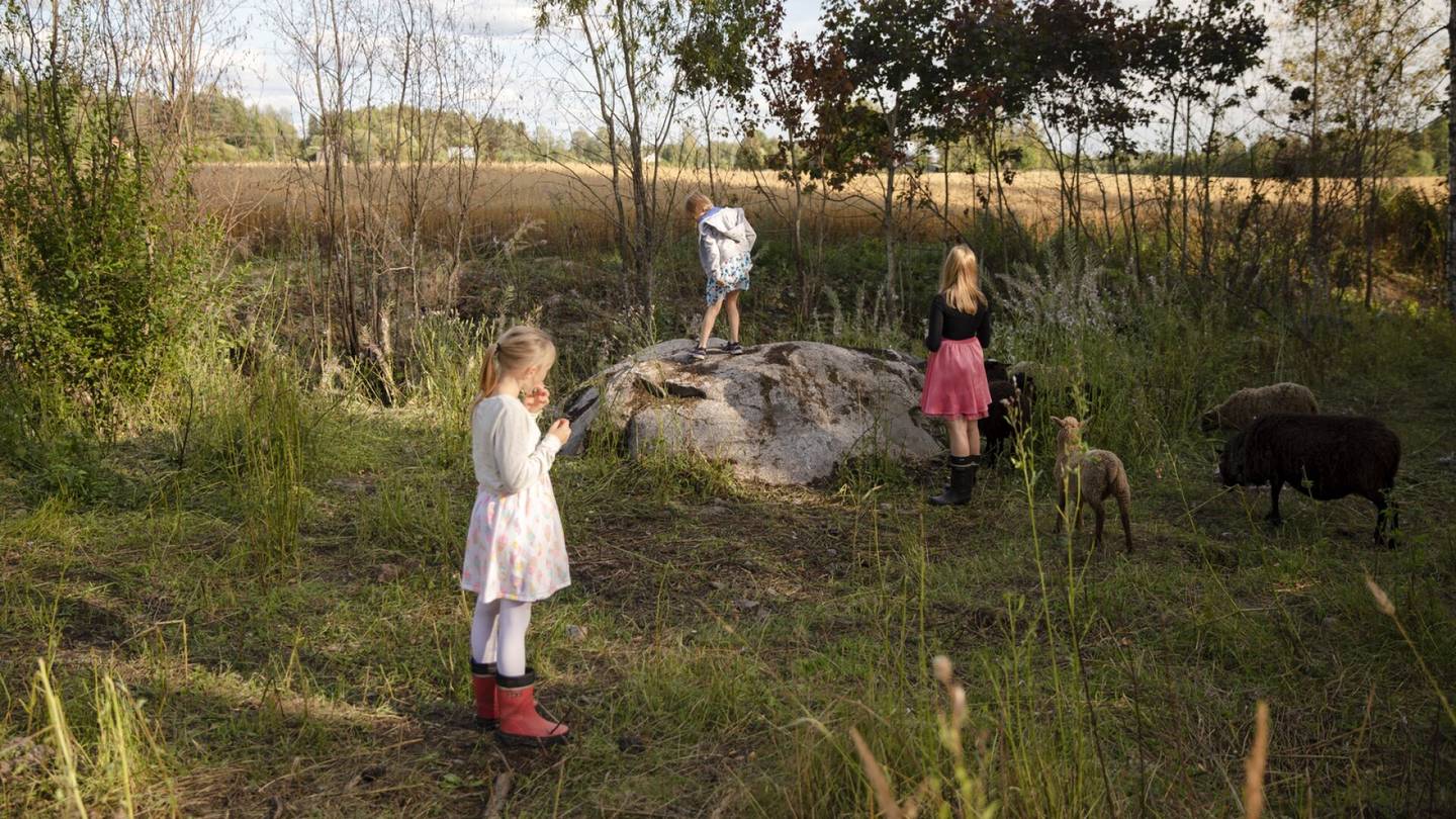 Albumi | Vilja, Fiona ja Mirella asuvat keskellä hiljaisuutta – Tältä näyttää lapsuus suomalaisessa kylässä, jossa on viisi katulamppua