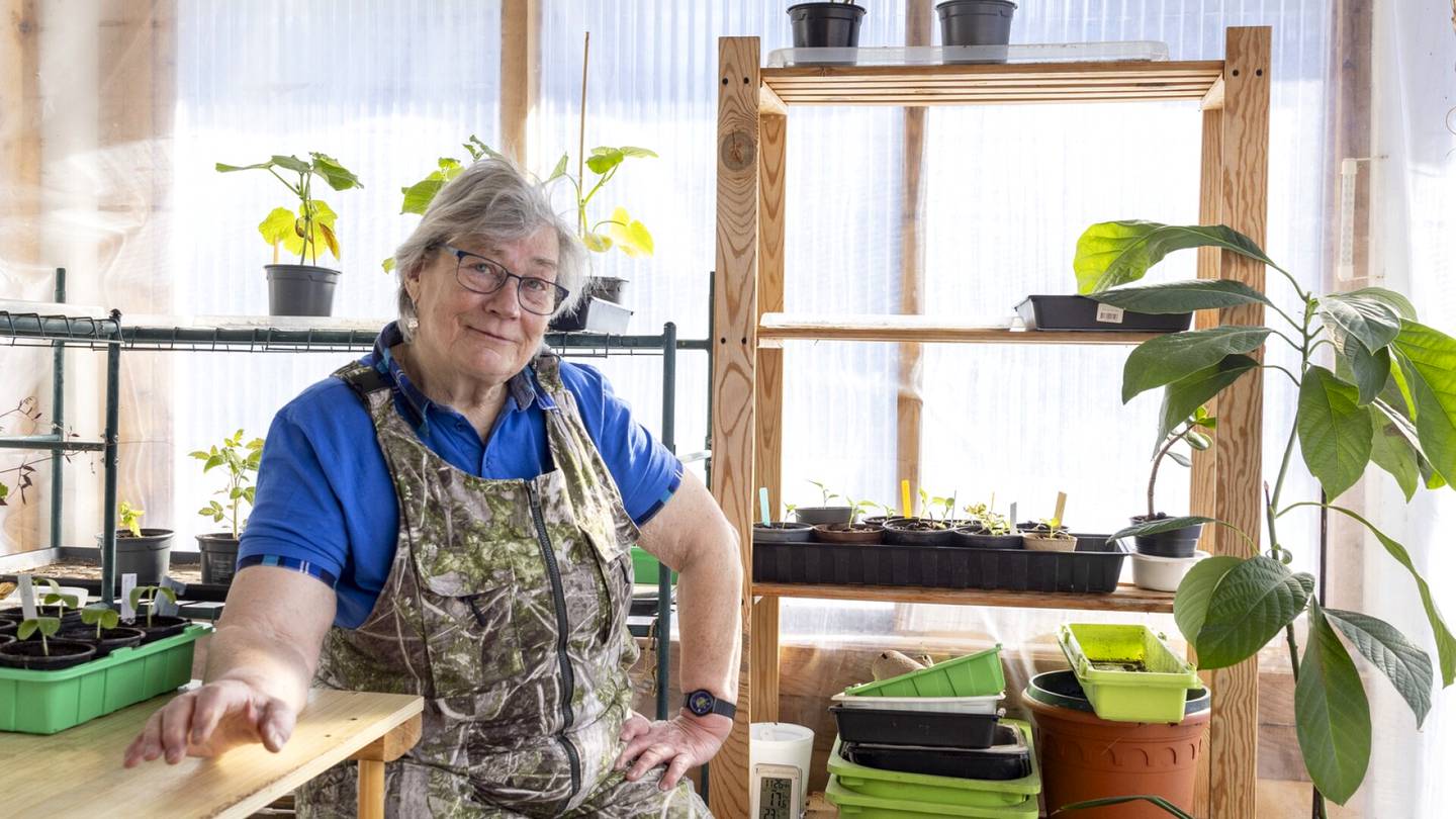 HS Inarissa | Lisa Fabritiuksen, 87, kesätyöt ovat nyt lopullisesti ohi – Yli 80-vuotias opas sai töitä enää vain yhdestä paikasta