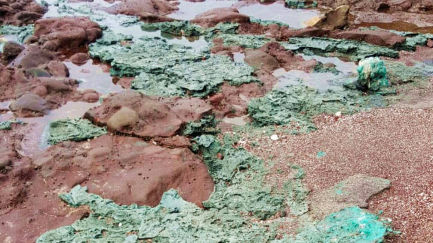 Atlantti | Kaukaiselta saarelta löytyi ”hirvittäviä” muovisia kiviä – ”Saastuminen on saavuttanut geologian”