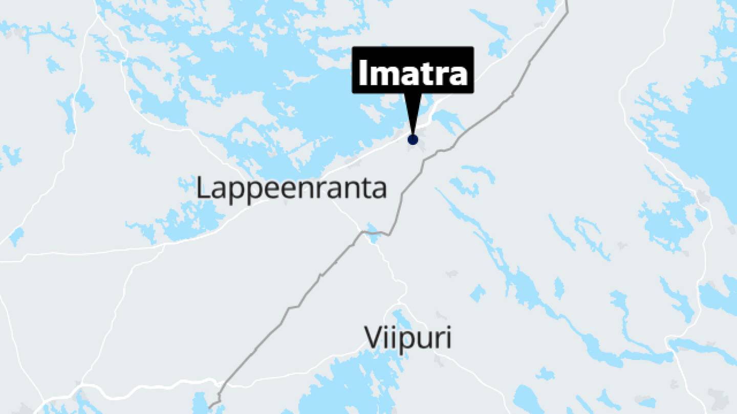 Imatra | Villi­koirat ovat tappaneet kissan ja lähestyneet ihmisiä – Poliisi: Lauma lopetetaan