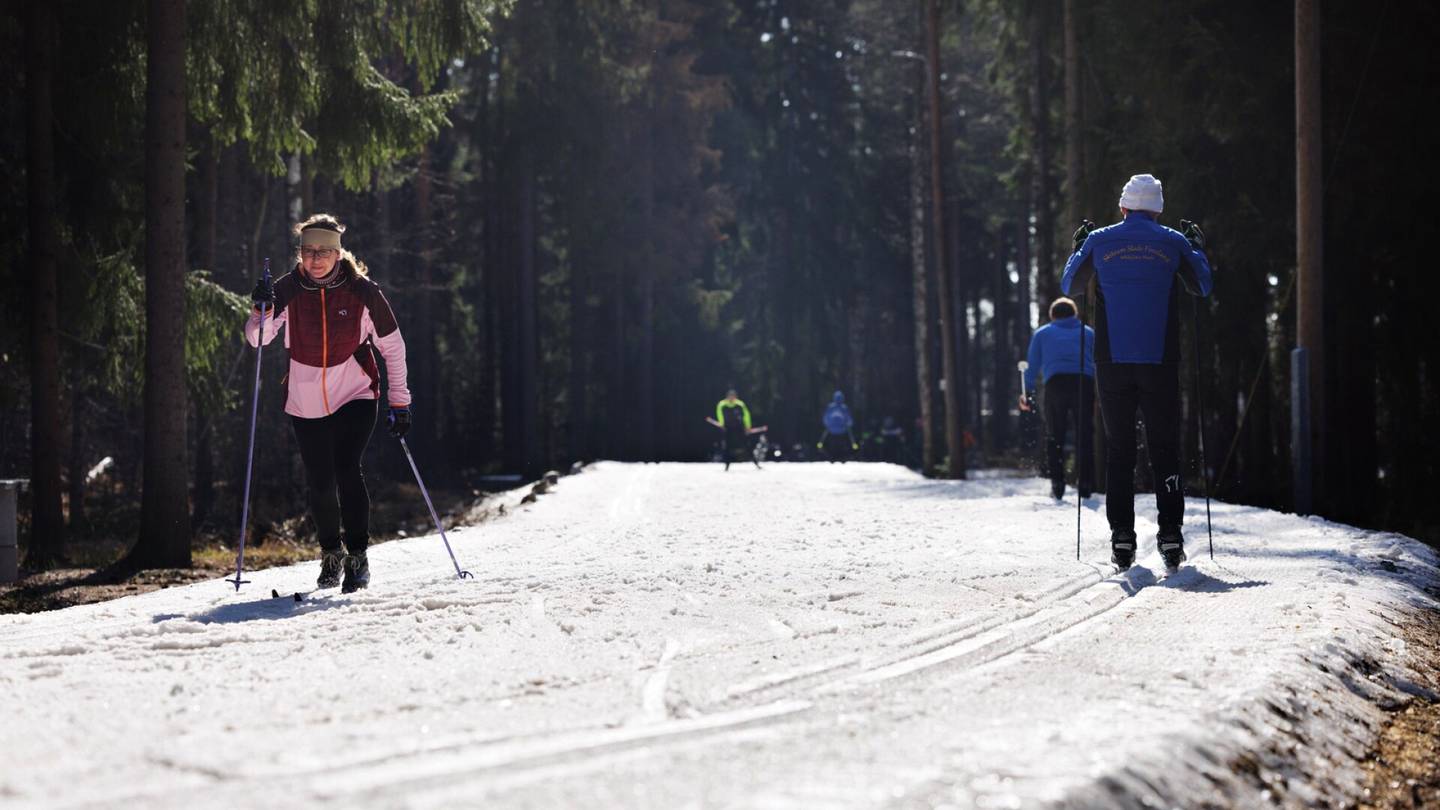 HS Helsinki | Ollaan jo toukokuussa, mutta Paloheinässä hiihdetään yhä – Latukoneen kuljettaja sai kauden viimeisellä kiekallaan suosionosoitukset