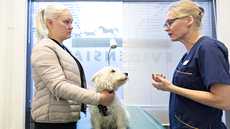 Eläinlääkäri Kirsti Schildt ohjeistaa Noomi-koiran omistajaa Jenny Lehtistä.