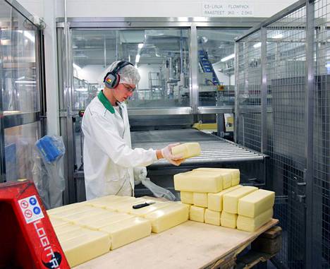 Juuston valmistusta Valion juustotehtaalla Vantaan Vaaralassa.
