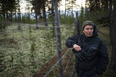 Pohjois-Lapin metsät ovat tuttuja Inarissa asuvalle Jarmo Pyykölle.