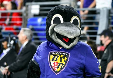 Baltimore Ravensin maskotti Poe on ollut muutaman päivän huomion keskipisteenä.