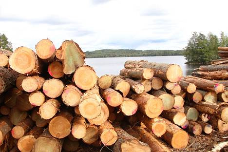 Raakapuuta käytettiin Suomessa viime vuonna ennätysmäärä, yhteensä 85,1 miljoonaa kuutiometriä.