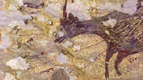 Maailman vanhin luolamaalaus löytyi: kuvaa arvoituksellisia ihmis-eläinhahmoja