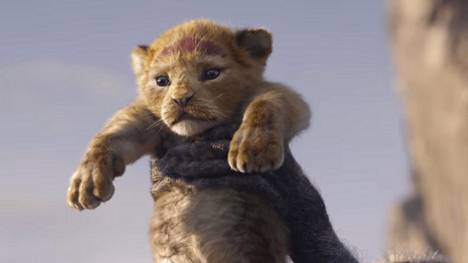 Uusi Leijonakuningas tulee Suomen elokuvateattereihin ensi kesänä. Kuva on poimittu elokuvan trailerista.