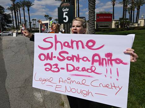 Eläinten oikeuksien puolustajat osoittivat mieltään Santa Anitan radan ulkopuolella 6. huhtikuuta 2019.