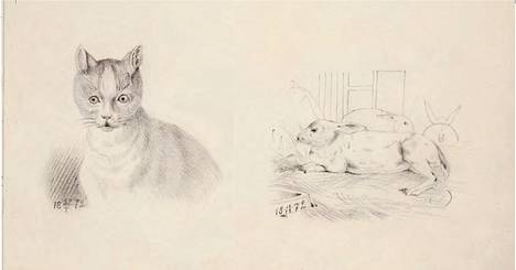 Nämä piirustukset Helene Schjerfbeck teki kymmenvuotiaana. Kissa ja kaneja (1872–74, lyijykynä, osa luonnoskirjaa). Ateneumin ystävien kokoelma. – Kirjan kuvitusta.