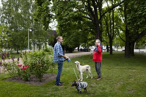 Töölöläiset Heikki Oranen (vas.) koiransa Egonin kanssa sekä Tanu Savolainen koiransa Neeran kanssa eivät varauksetta innostu Flow-festivaalin tuomisesta Olympiastadionille.
