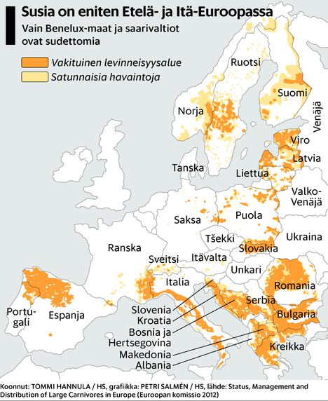 Susilaumat lähestyvät suurkaupunkeja ympäri Eurooppaa – Suomen kokoisessa  Italiassa on lähes kymmenkertaisesti susia - Ulkomaat 