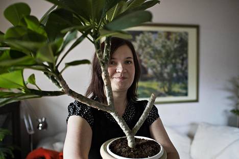 Plumeria on Ingrid Viertolan yksi tämän hetken lempikasveista.