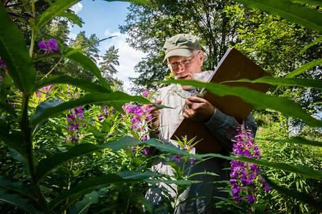 Tuomo Kuitunen kartoitti yhden kunnan kaikki kasvit – Harrastus vaati 30  vuoden kesät ja noin 3000 tuntia - Kotimaa 